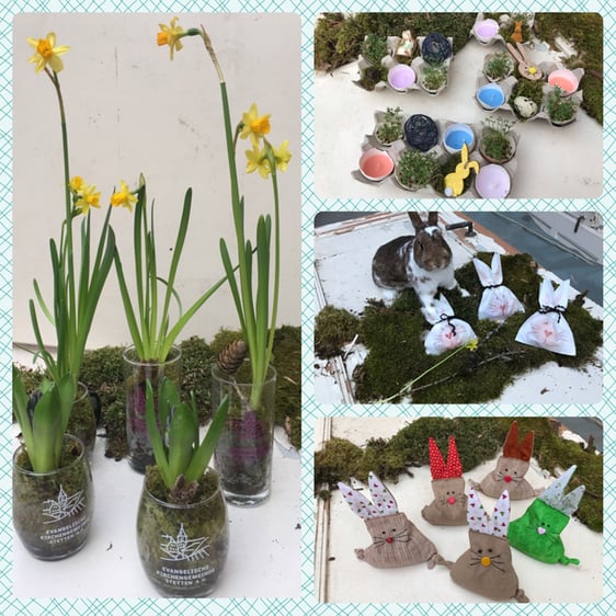 Frühlingserwachen